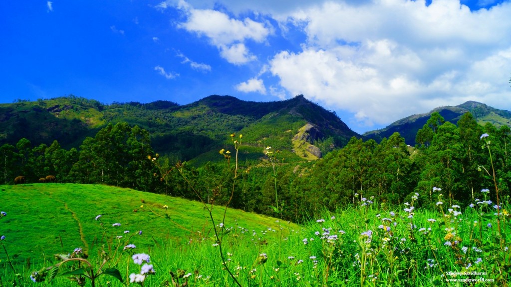 Munnar