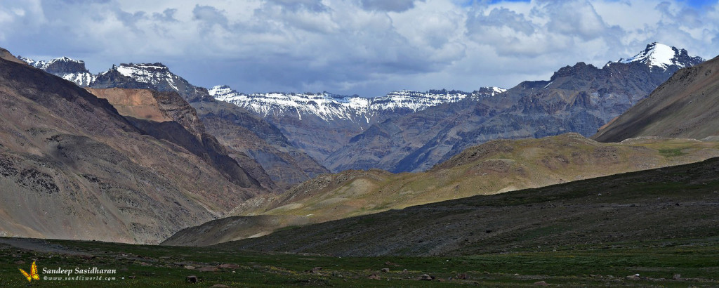 Landscape DSC7945n