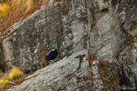 Himalayan Monal