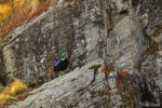 Himalayan Monal