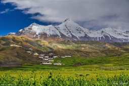Landscape-DSC7408